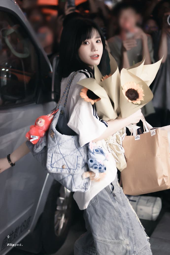Louis Vuitton 老花托特包